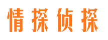 南靖侦探公司